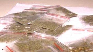 Doi tineri au fost prinşi cu etnobotanice în Constanţa